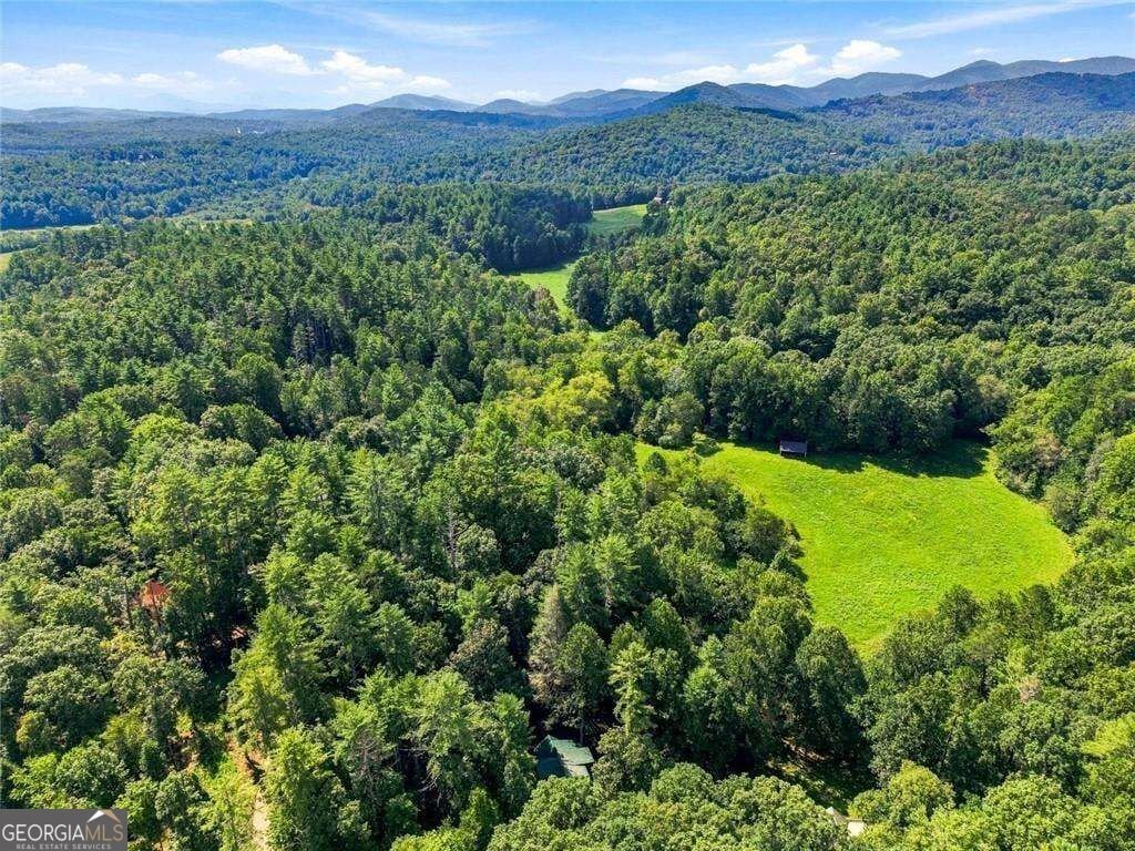 48 Twin Creeks Blue Ridge - Photo 41