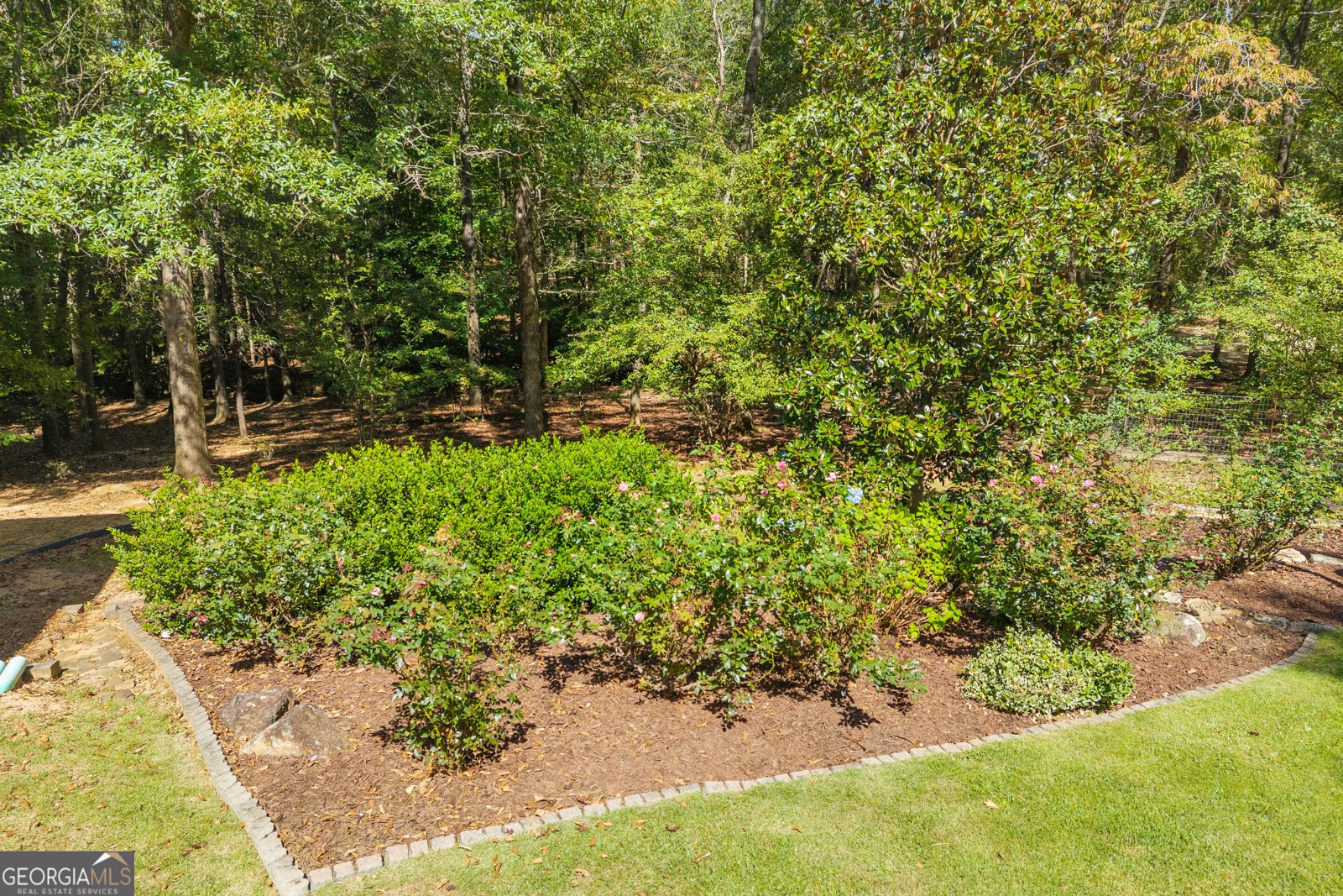 1651 Springfield Drive Elberton - Photo 63