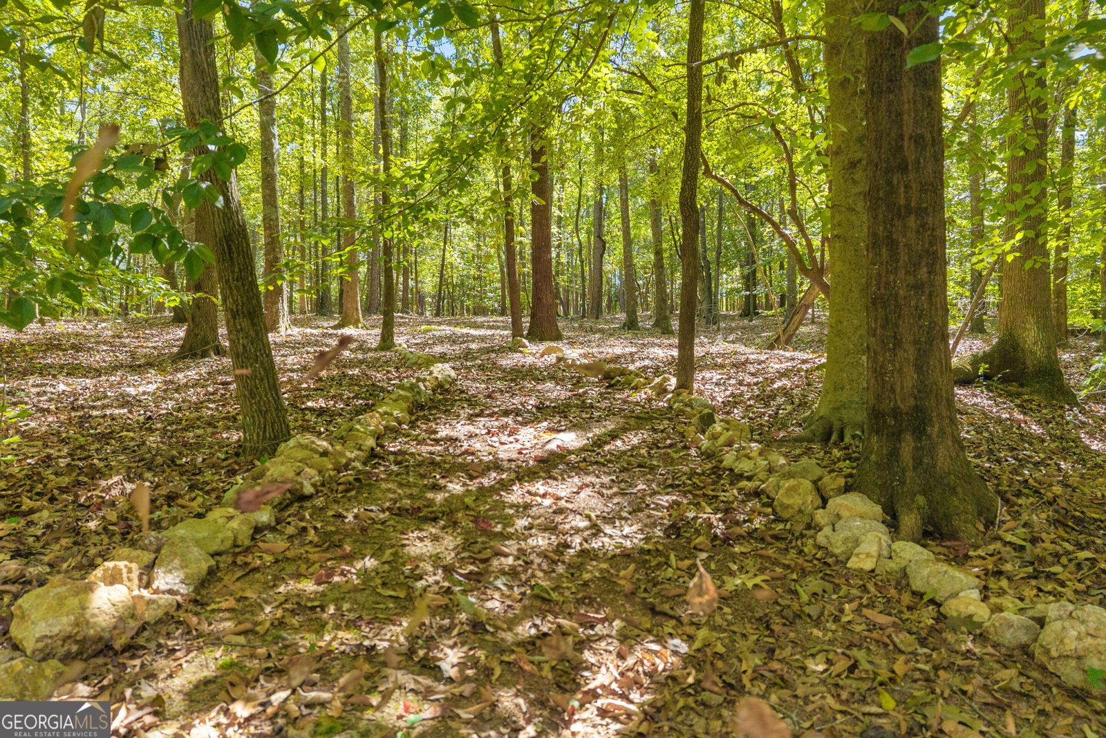 1651 Springfield Drive Elberton - Photo 76