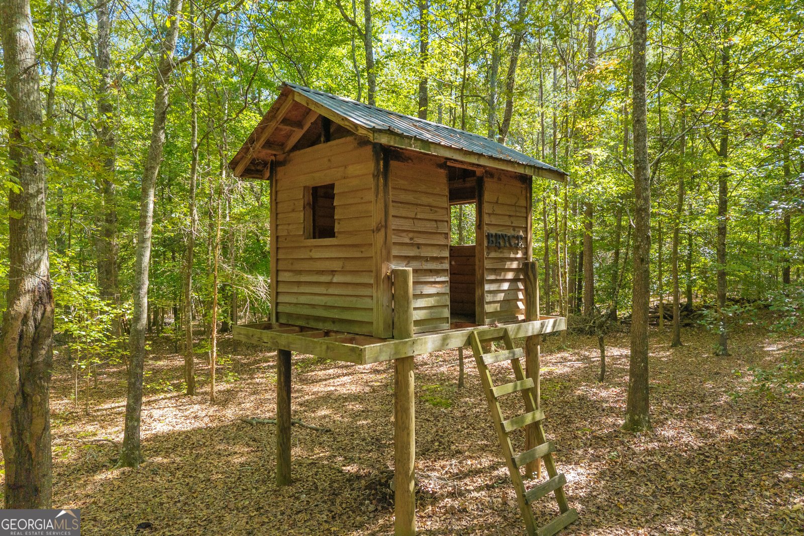 1651 Springfield Drive Elberton - Photo 78
