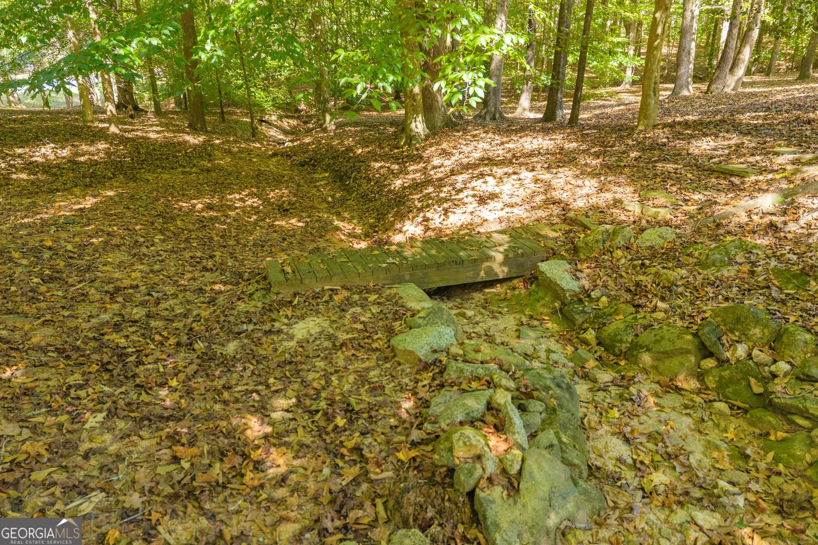 1651 Springfield Drive Elberton - Photo 80