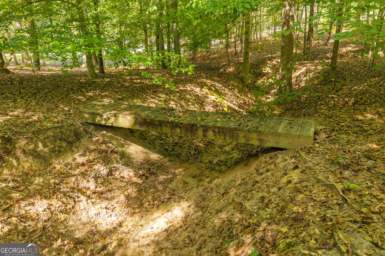 1651 Springfield Drive Elberton - Photo 81