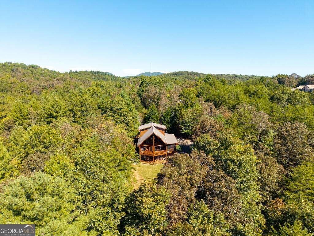 278 Arapaho Walk Mineral Bluff - Photo 49