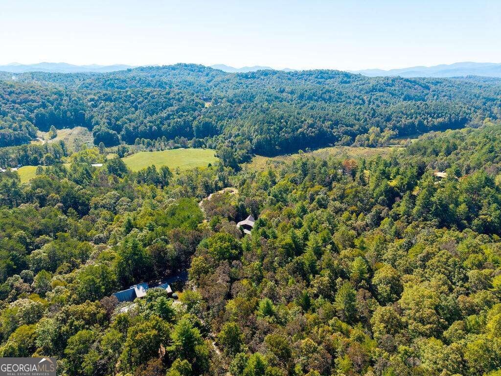 278 Arapaho Walk Mineral Bluff - Photo 51