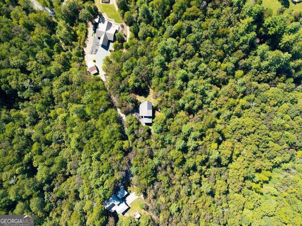 278 Arapaho Walk Mineral Bluff - Photo 52