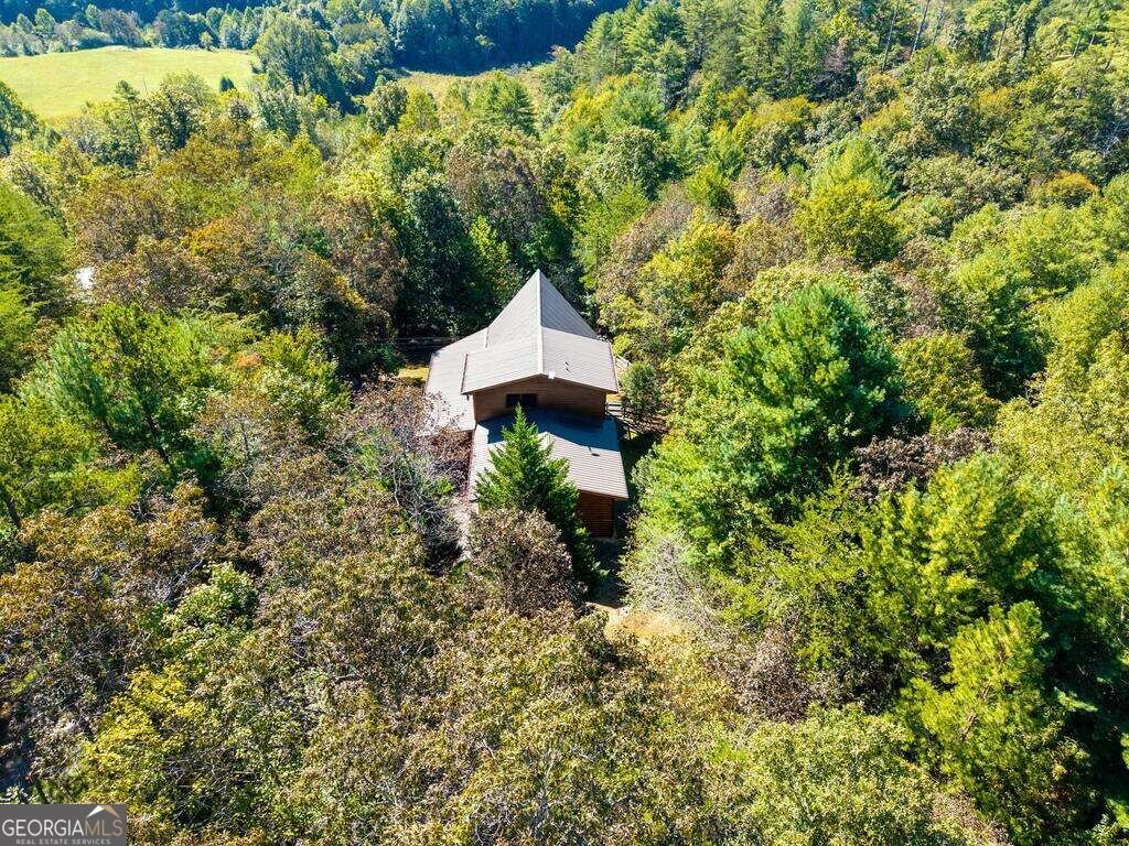 278 Arapaho Walk Mineral Bluff - Photo 53
