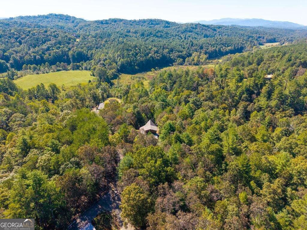 278 Arapaho Walk Mineral Bluff - Photo 54