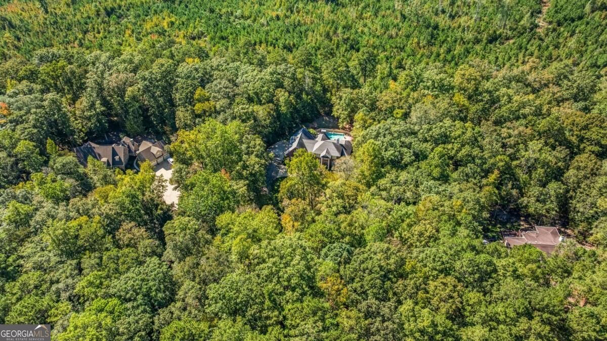 1254 Rocky Shoals Drive Midland - Photo 60