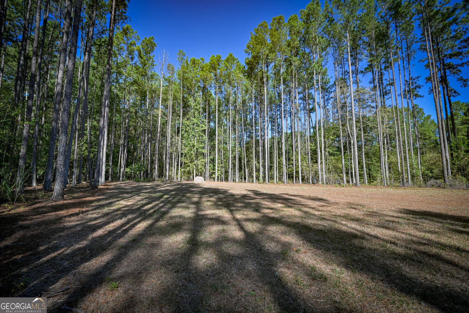 35 Mattie Court Mansfield - Photo 57