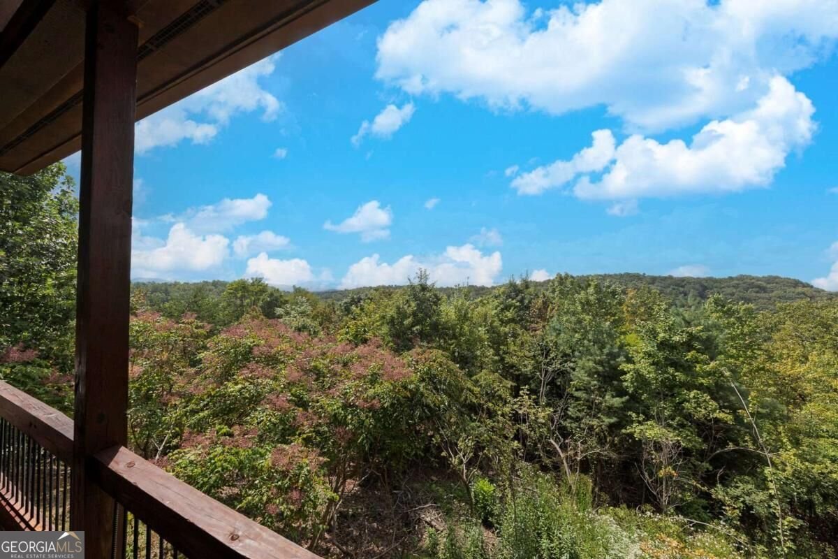 499 Raven Ridge Circle Mineral Bluff - Photo 36