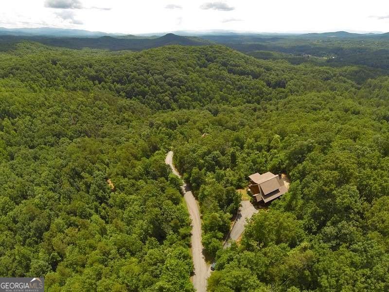 499 Raven Ridge Circle Mineral Bluff - Photo 45
