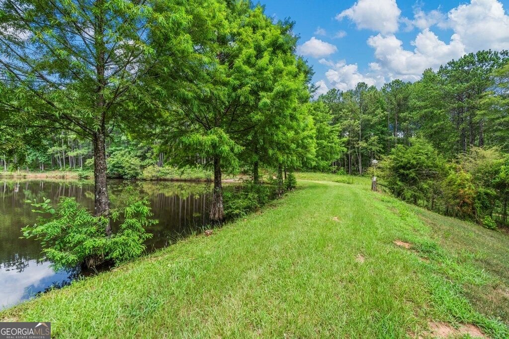 877 Mckee Road Waverly Hall - Photo 54