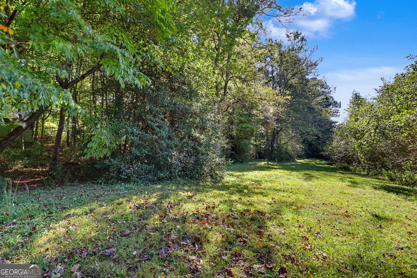 755 Beaver Lake Drive Clarkesville - Photo 41