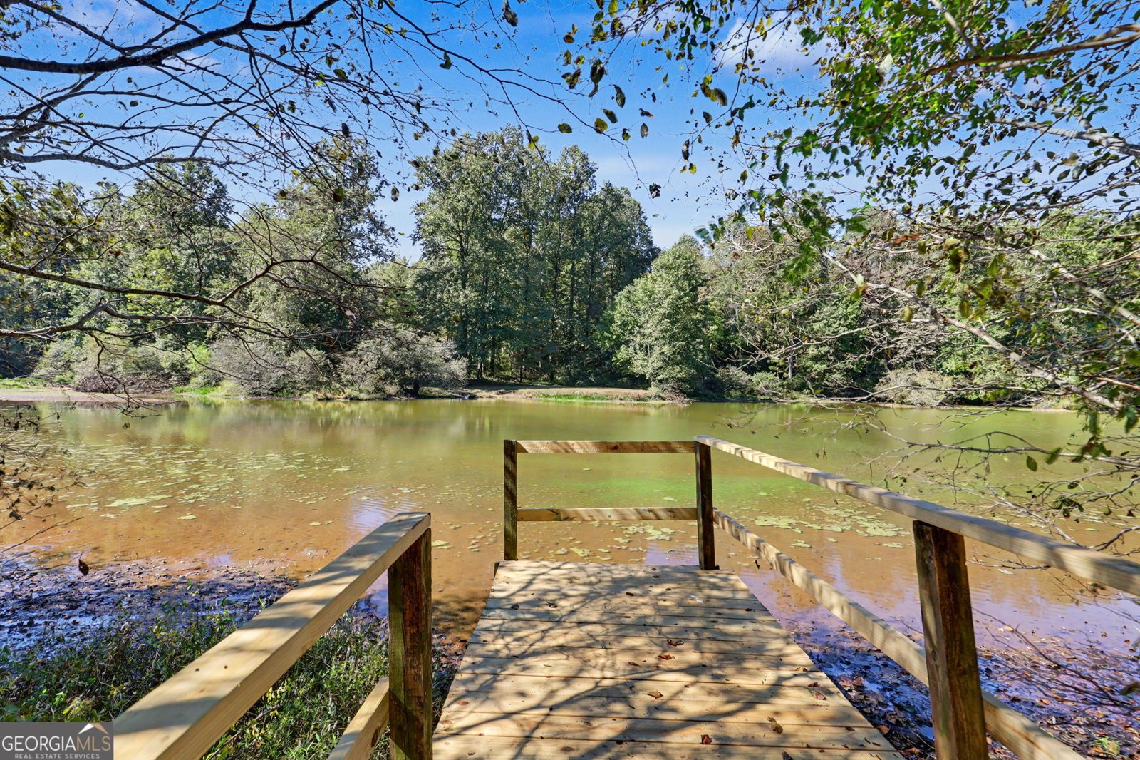 755 Beaver Lake Drive Clarkesville - Photo 42