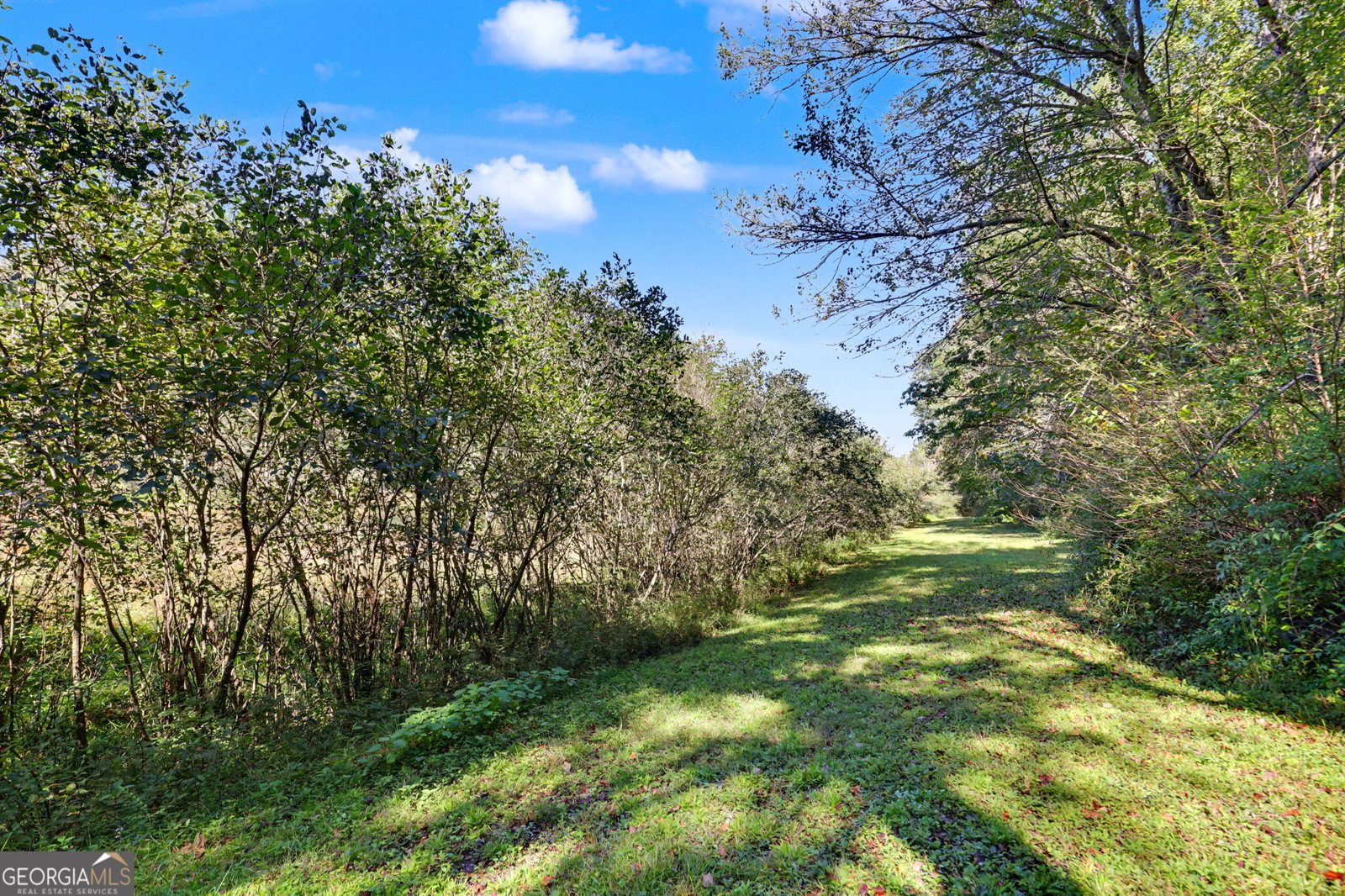 755 Beaver Lake Drive Clarkesville - Photo 43