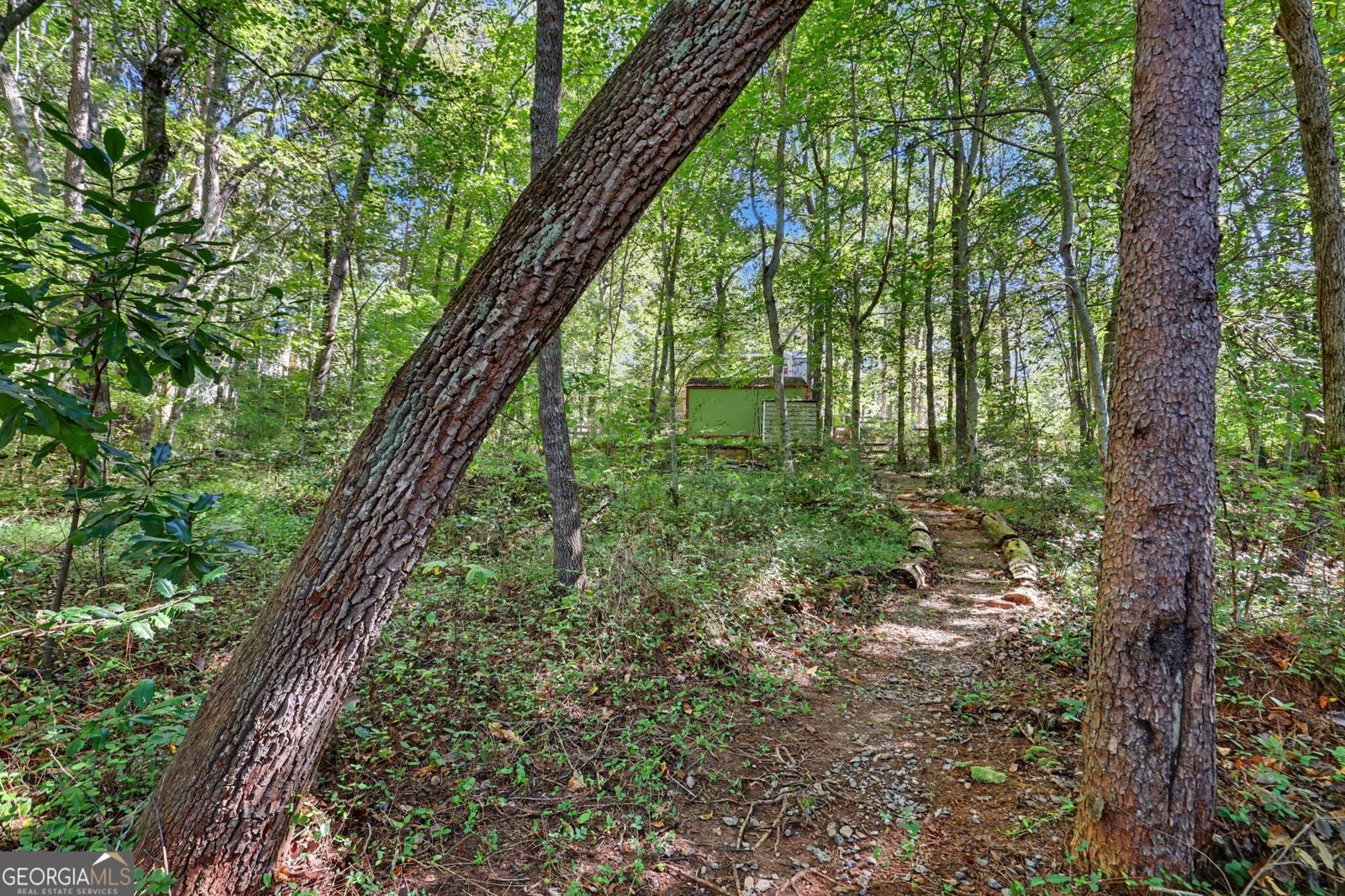 755 Beaver Lake Drive Clarkesville - Photo 44