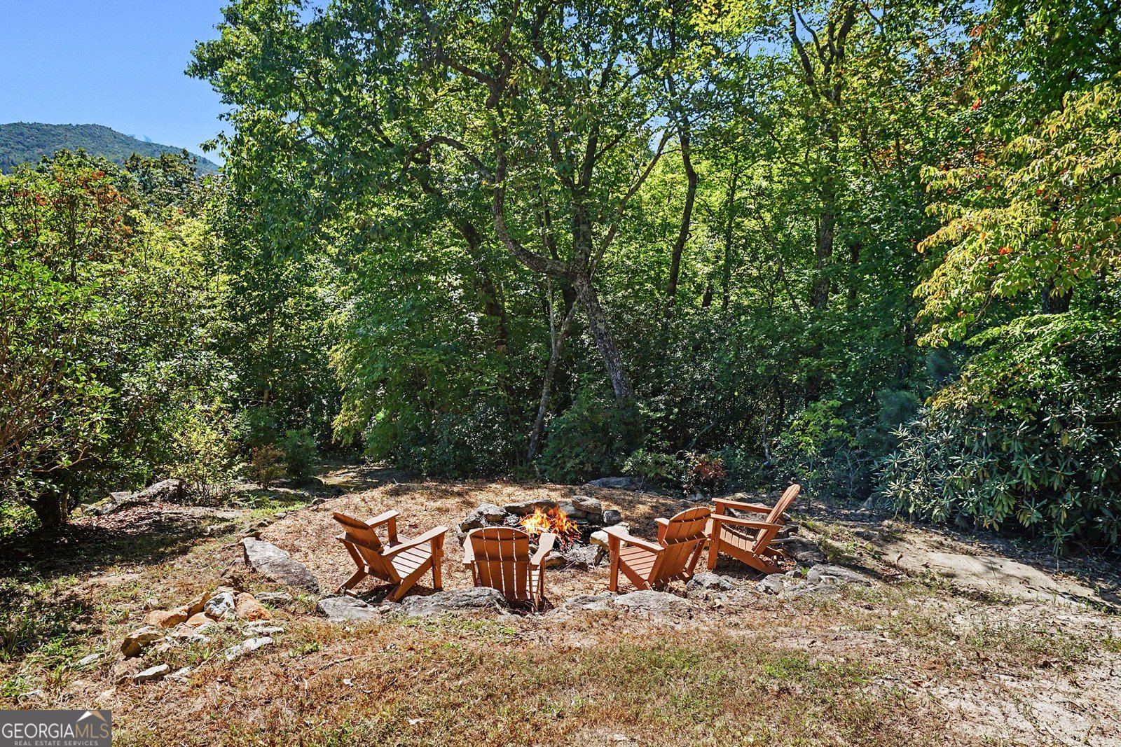 427 Smokehouse Knob Drive Rabun Gap - Photo 62