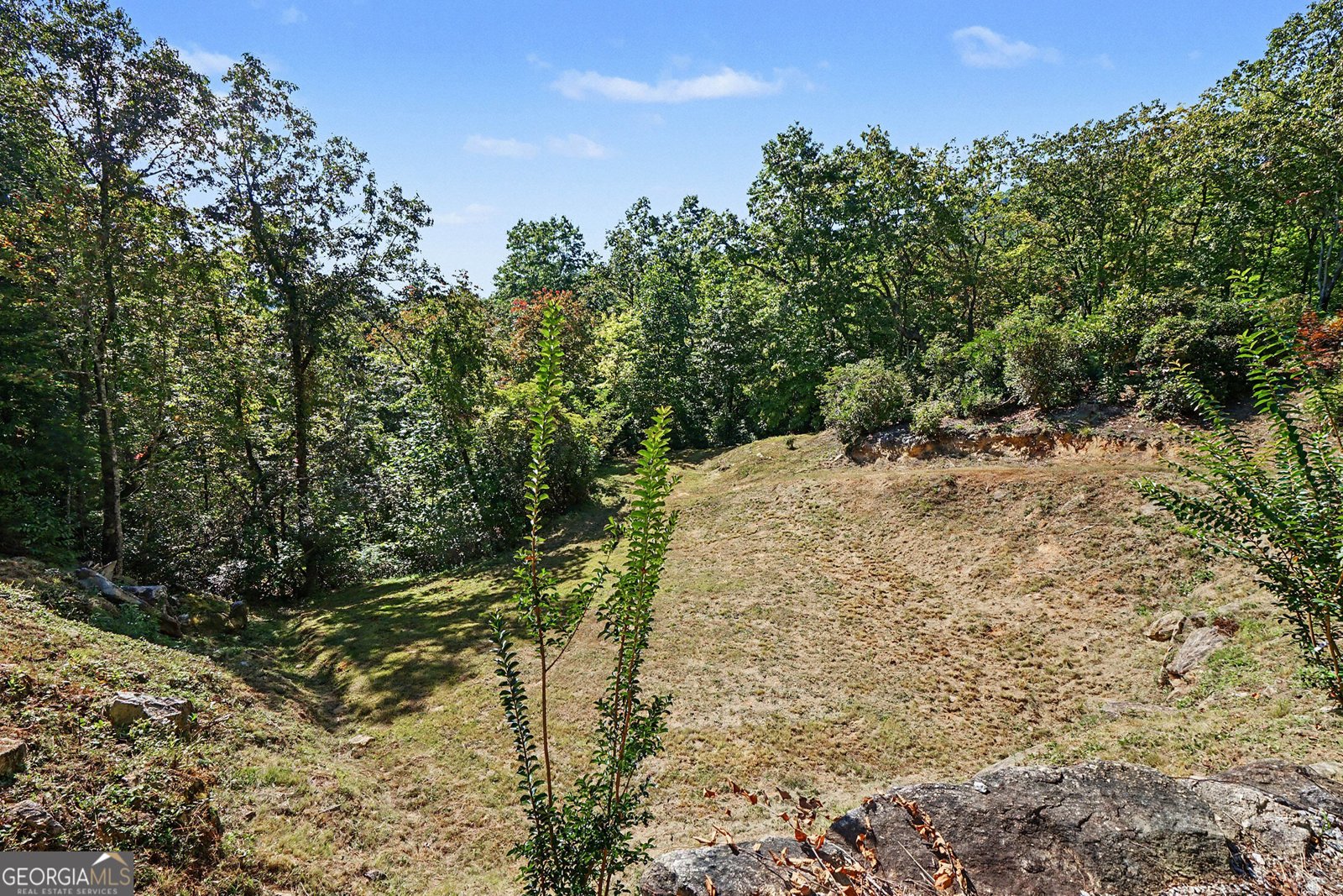 427 Smokehouse Knob Drive Rabun Gap - Photo 63