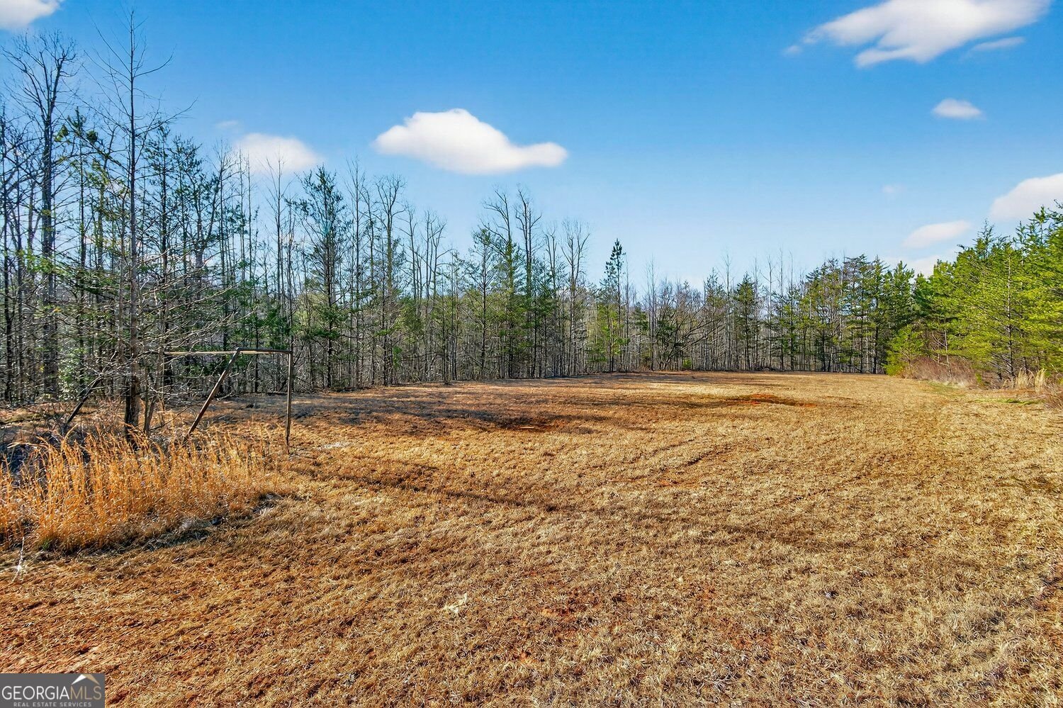 52 Morgan Lane Dawsonville - Photo 58