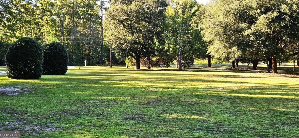 330 Maria Sorrell Road Statesboro - Photo 10
