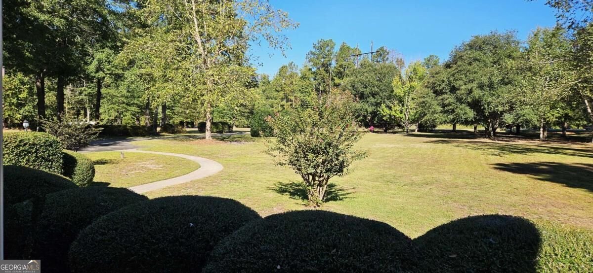 330 Maria Sorrell Road Statesboro - Photo 9