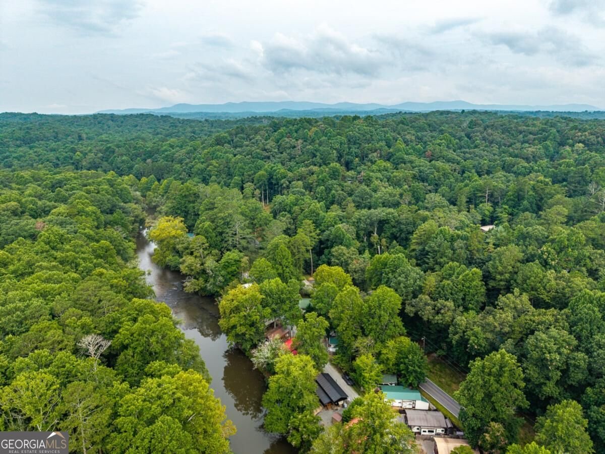 65 1St Street Ellijay - Photo 9