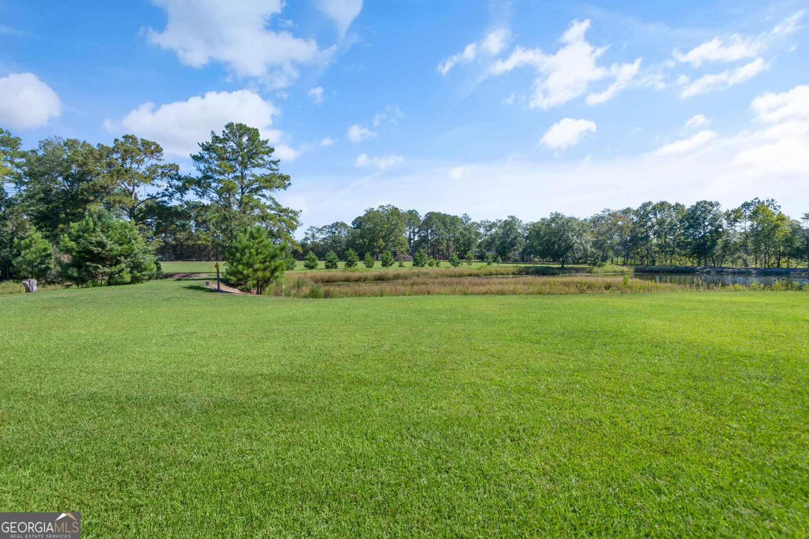 555 Lem Lanier Road Nevils - Photo 52