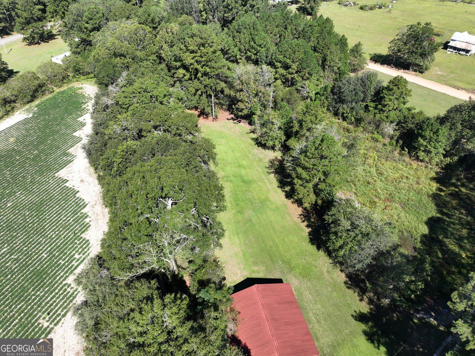 555 Lem Lanier Road Nevils - Photo 59