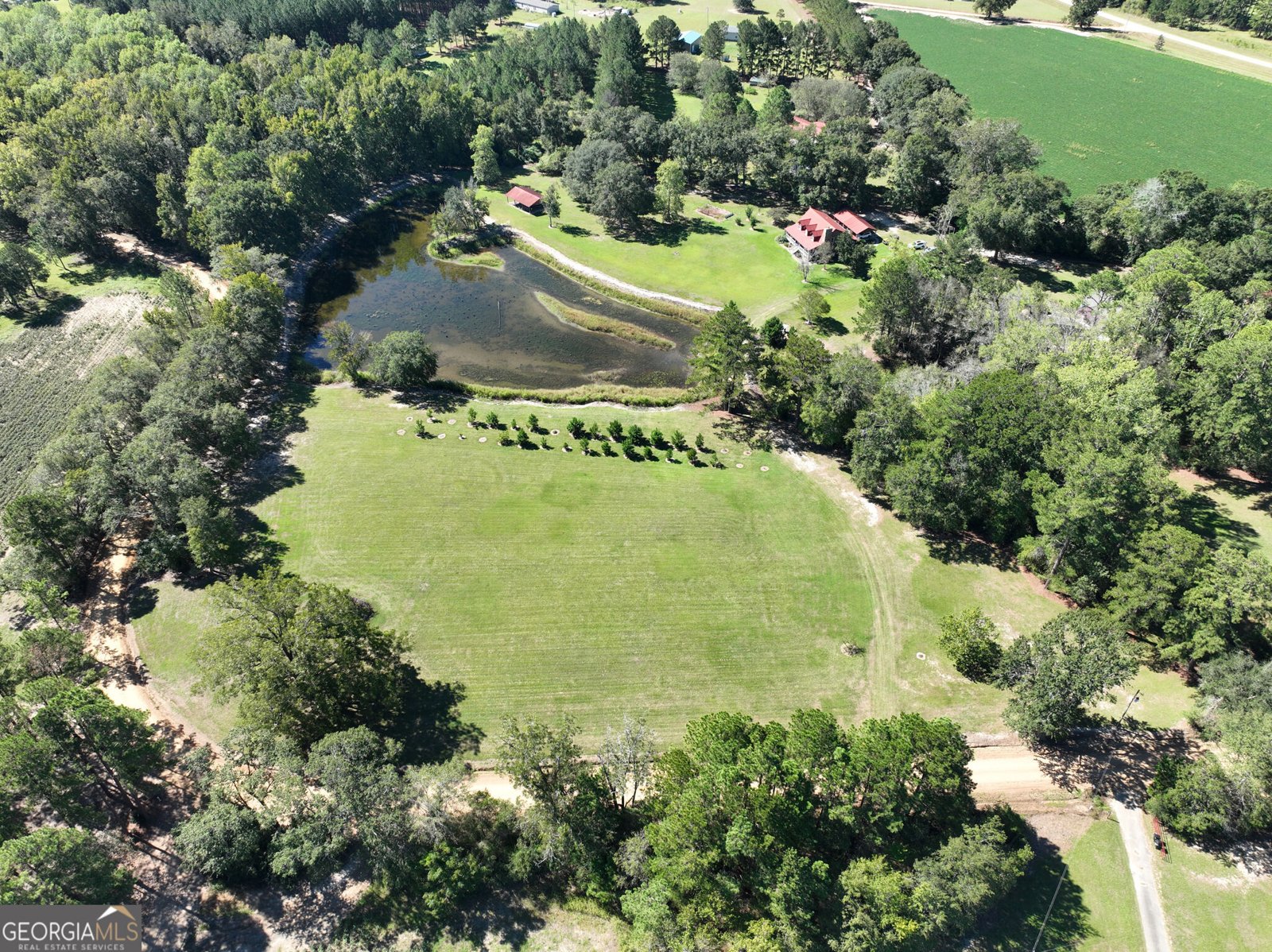 555 Lem Lanier Road Nevils - Photo 62