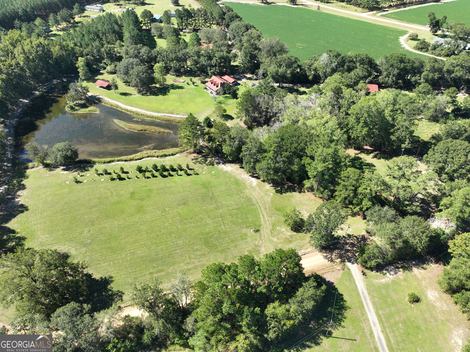 555 Lem Lanier Road Nevils - Photo 63