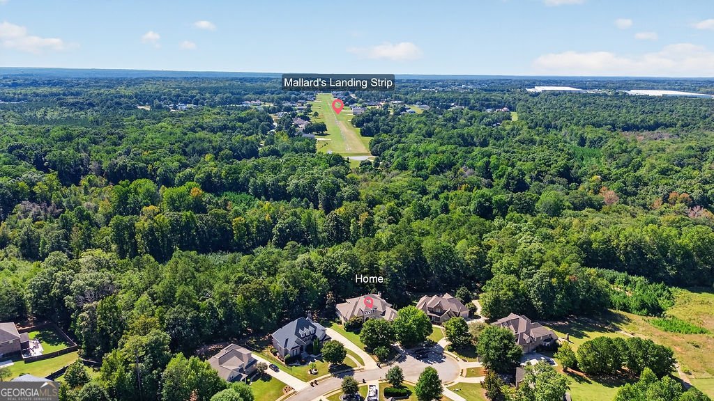 1307 Kinsale Court Locust Grove - Photo 63