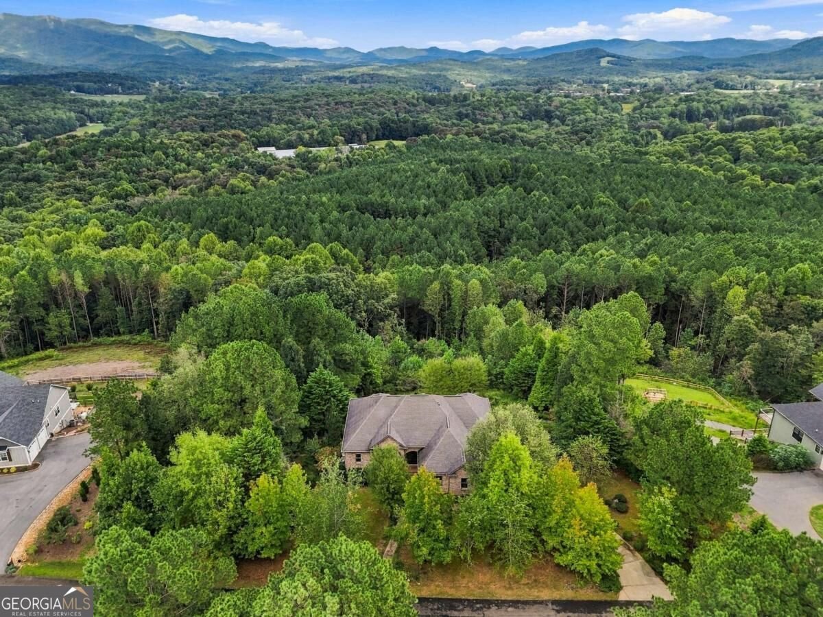 100 Foxpaw Leaf Court Ellijay - Photo 41
