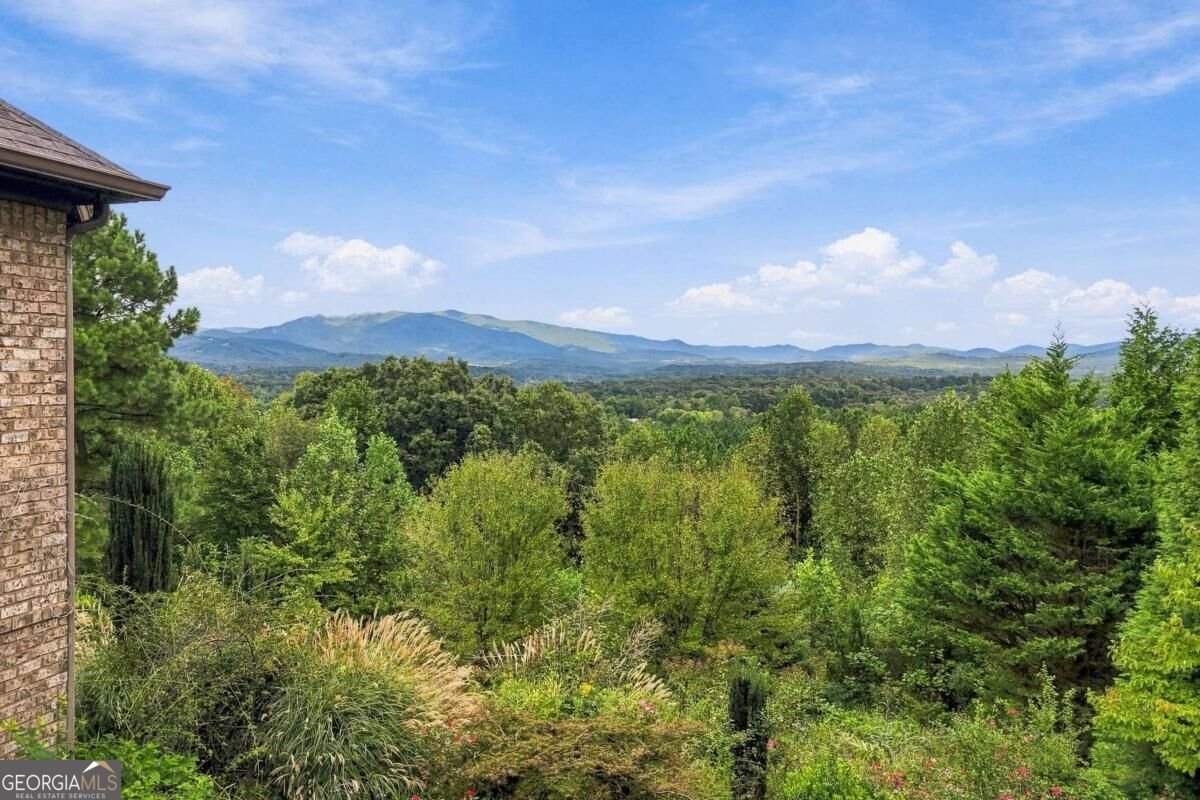 100 Foxpaw Leaf Court Ellijay - Photo 43