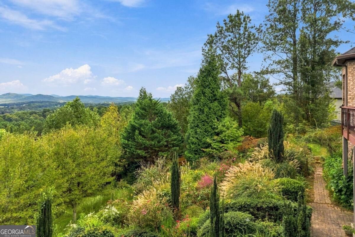 100 Foxpaw Leaf Court Ellijay - Photo 44