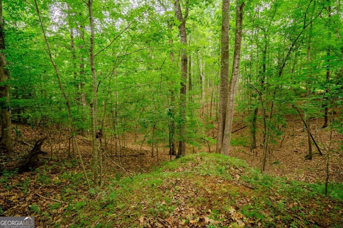 12 Scott Drive Ellijay - Photo 36