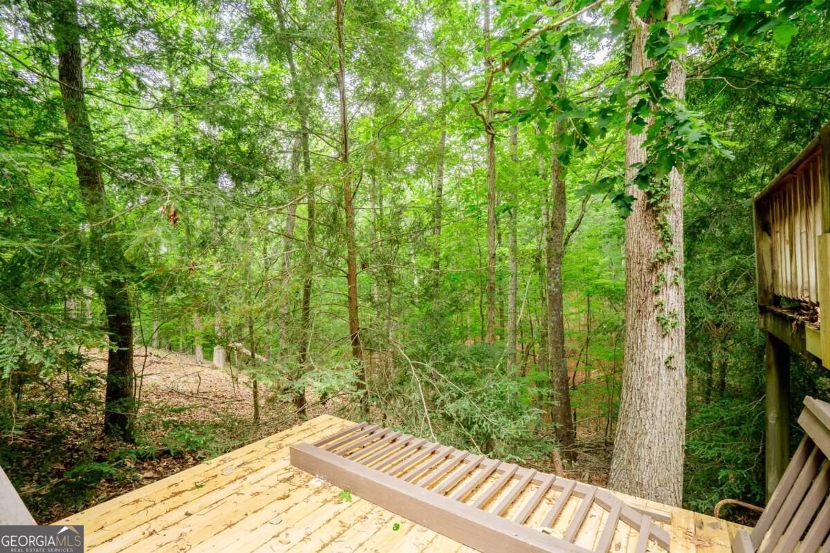 12 Scott Drive Ellijay - Photo 38
