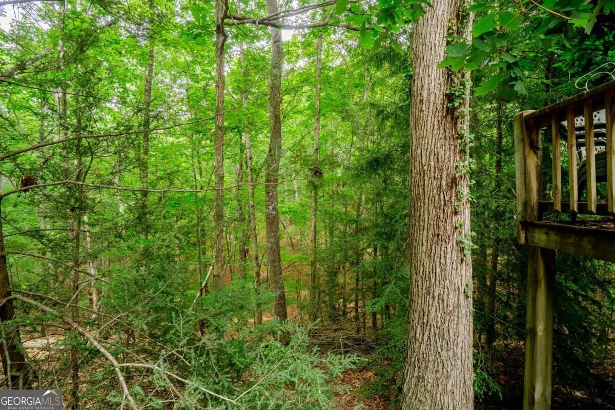 12 Scott Drive Ellijay - Photo 39
