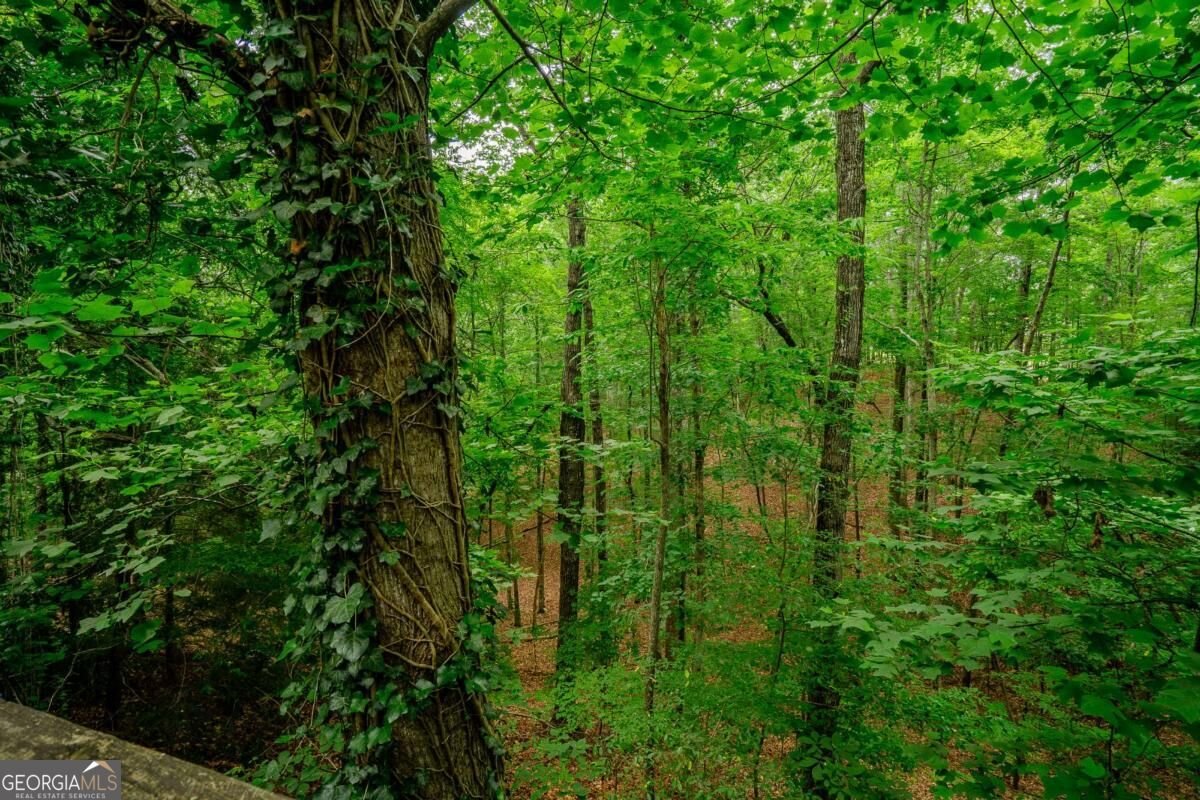 12 Scott Drive Ellijay - Photo 41