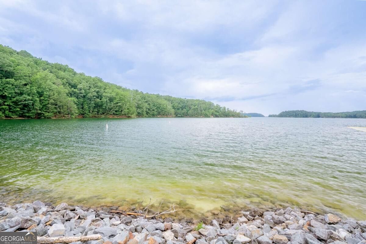 12 Scott Drive Ellijay - Photo 46
