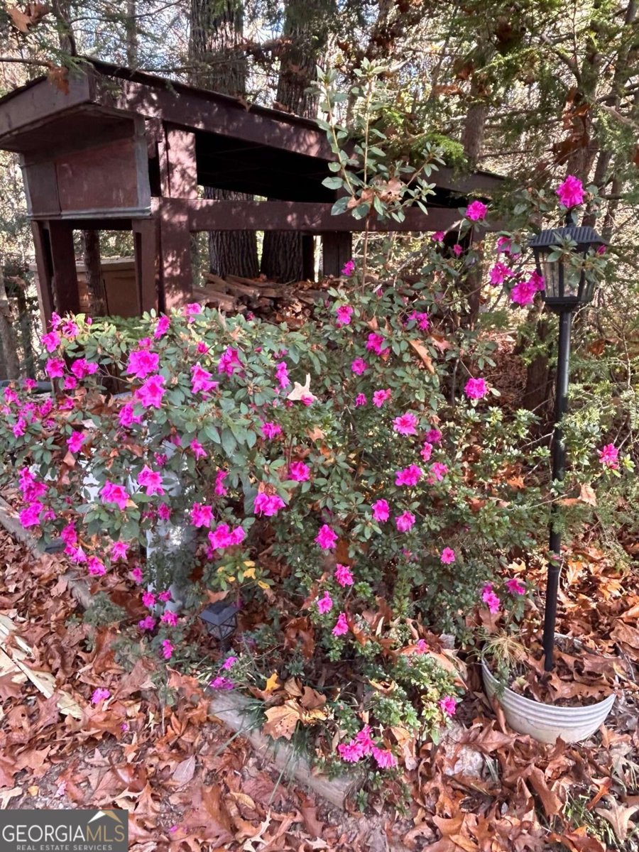 12 Scott Drive Ellijay - Photo 50