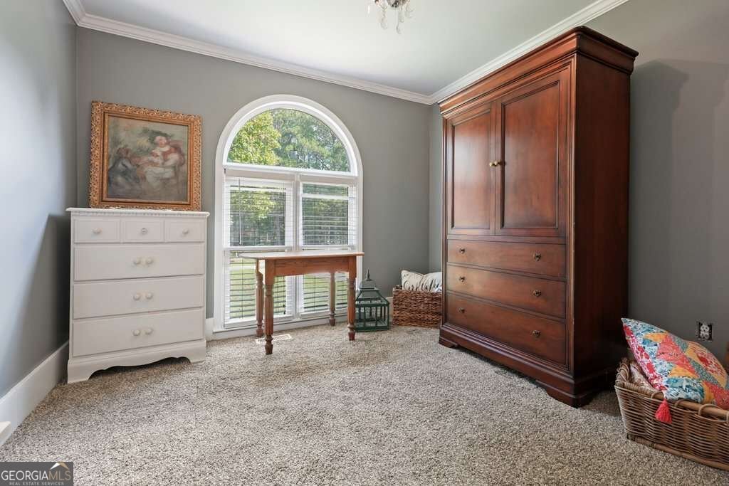 4179 Earney Road Woodstock - Photo 32
