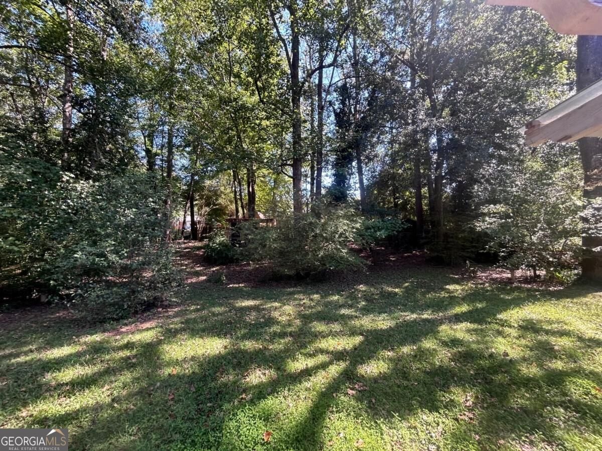 7220 Ray Road Lithia Springs - Photo 16
