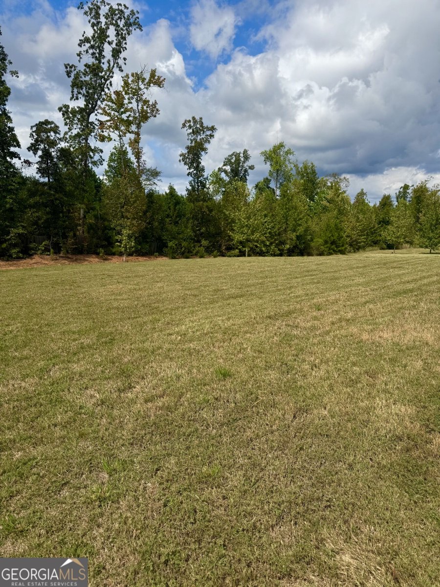 312 Basel Way Hampton - Photo 33