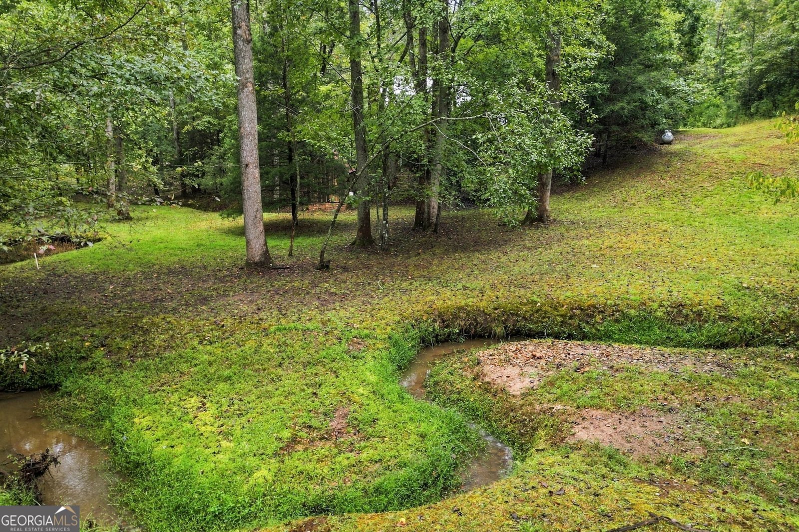 409 Tate Creek Trail Dahlonega - Photo 26