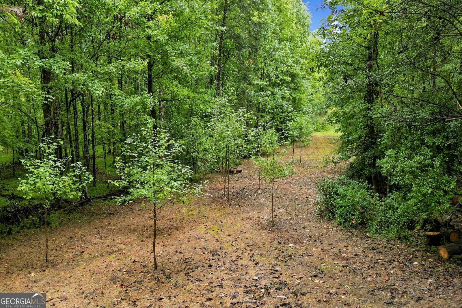 409 Tate Creek Trail Dahlonega - Photo 27