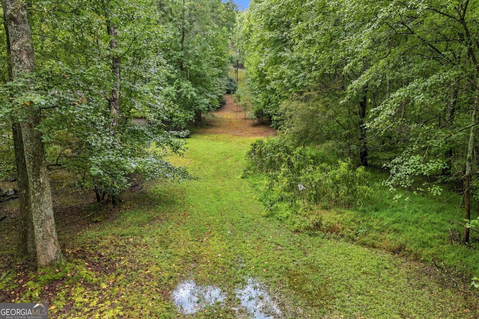 409 Tate Creek Trail Dahlonega - Photo 28