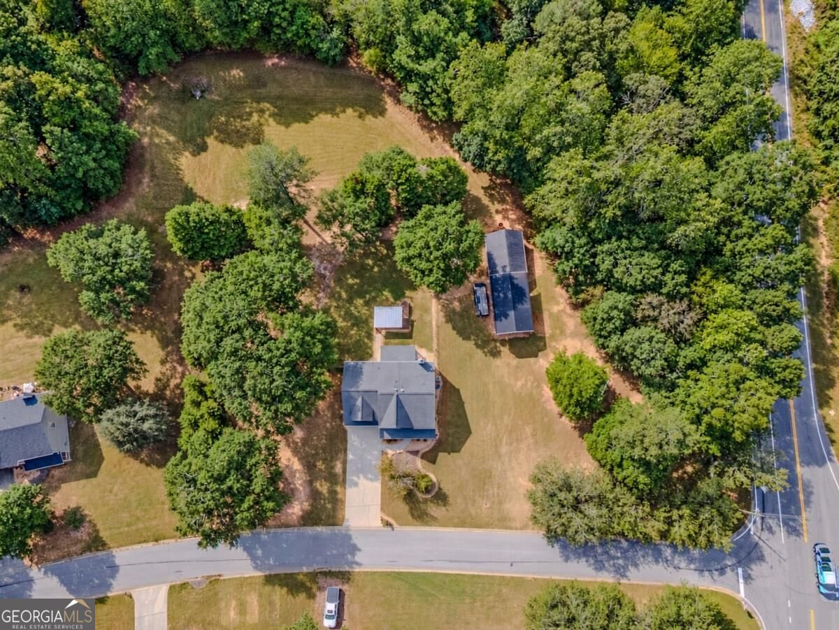 1205 Mystic Drive Loganville - Photo 53