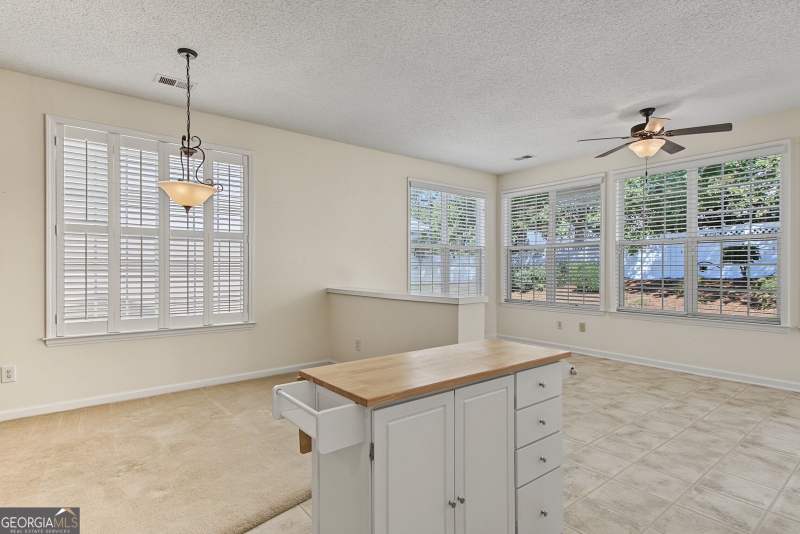 13 Hampshire Ln Newnan - Photo 16
