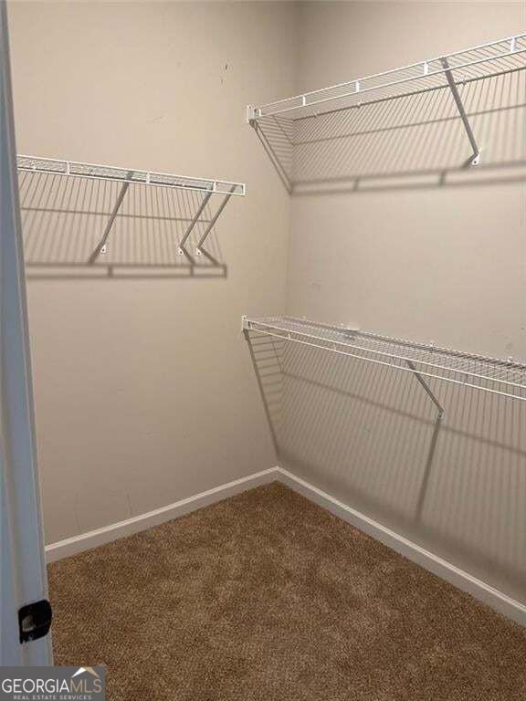 801 Relic Ridge Hampton - Photo 23