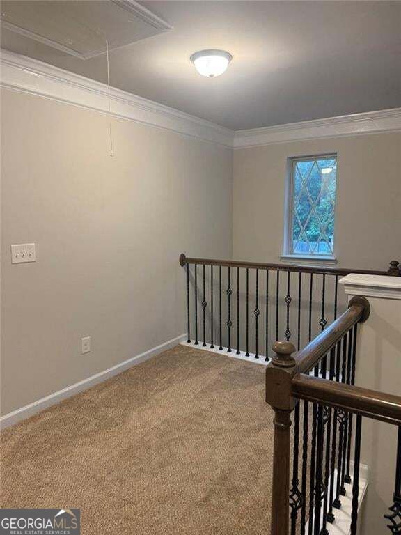 801 Relic Ridge Hampton - Photo 9